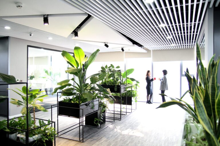 Dịch vụ cho thuê cây xanh sự kiện, văn phòng, công ty