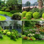 Công ty cây xanh Quận 1 - Cây Xanh Quận 1, TP.HCM