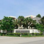 Thi công cây xanh nhà phố